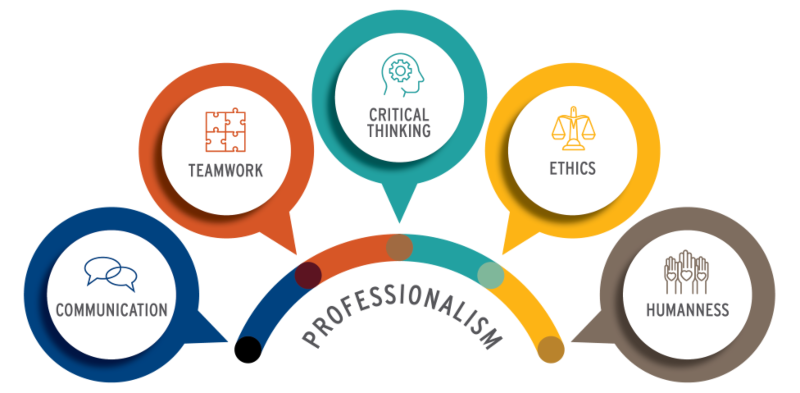 Graphic of Professionalism and the Five Principles